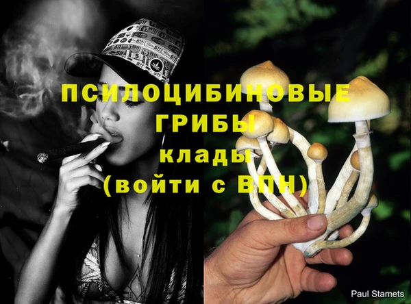 мяу мяу мука Козловка