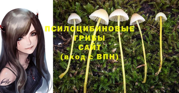 mdma Кодинск
