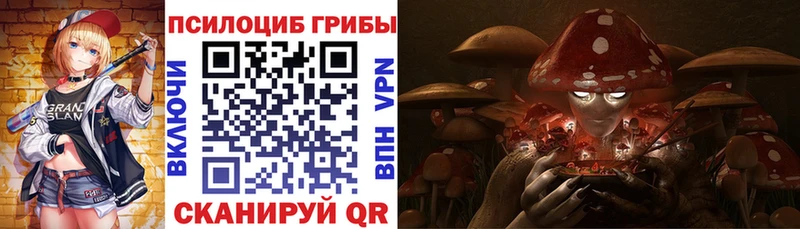 Купить где  Борисоглебск  Псилоцибиновые грибы GOLDEN TEACHER 
